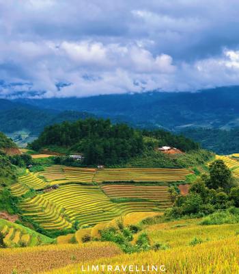 Mù Cang Chải - Mùa vàng trên những thửa ruộng bậc thang